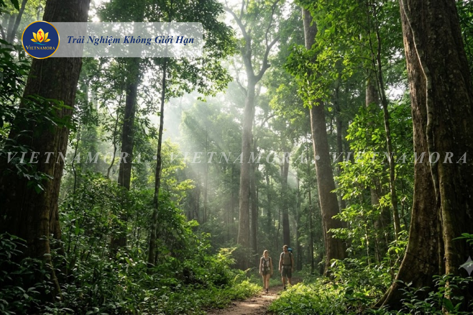 VIETNAMORA | QUỲNH NGUYỄN - PHÚ QUỐC